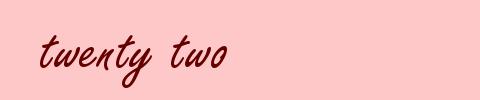 twenty two